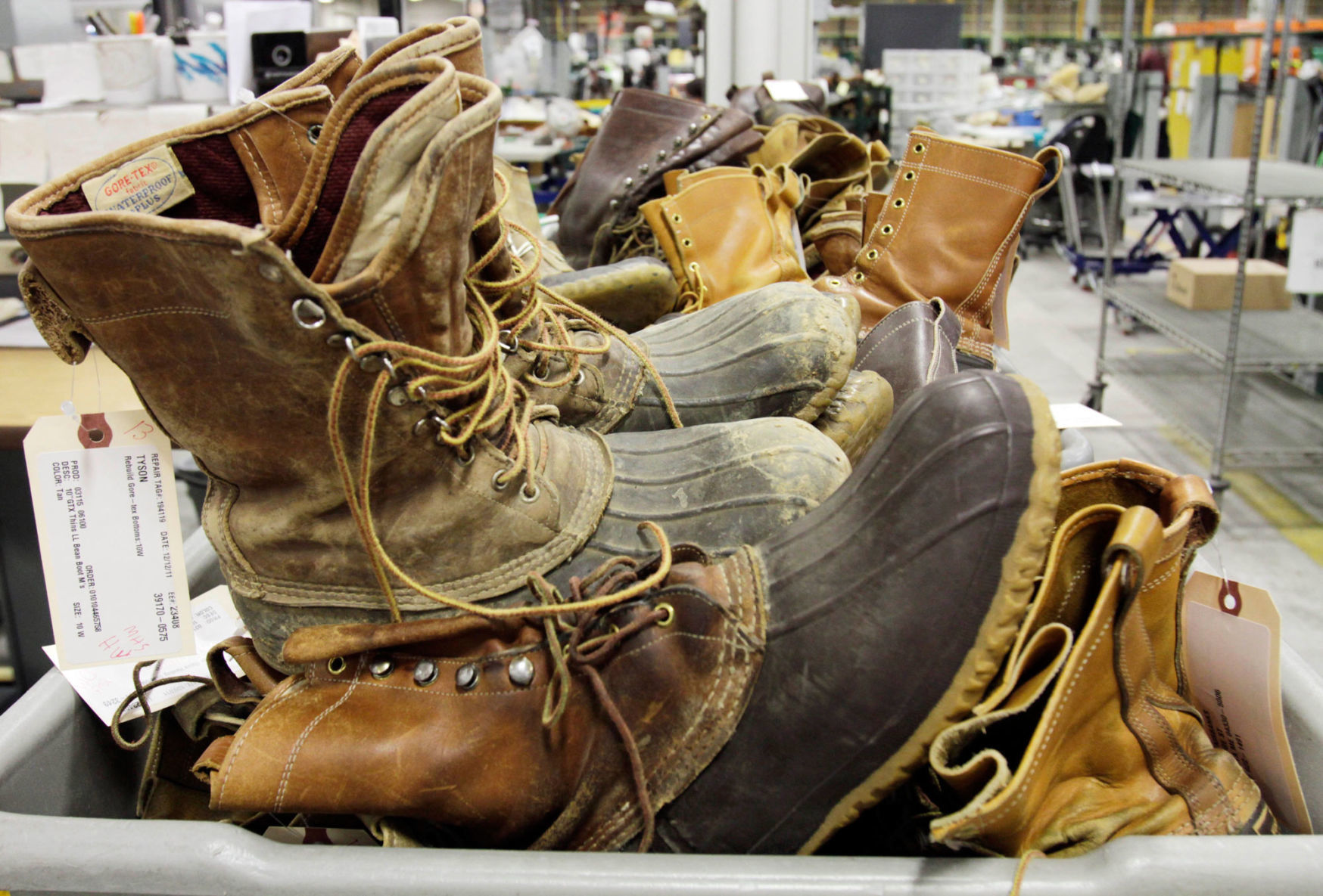 LL Bean